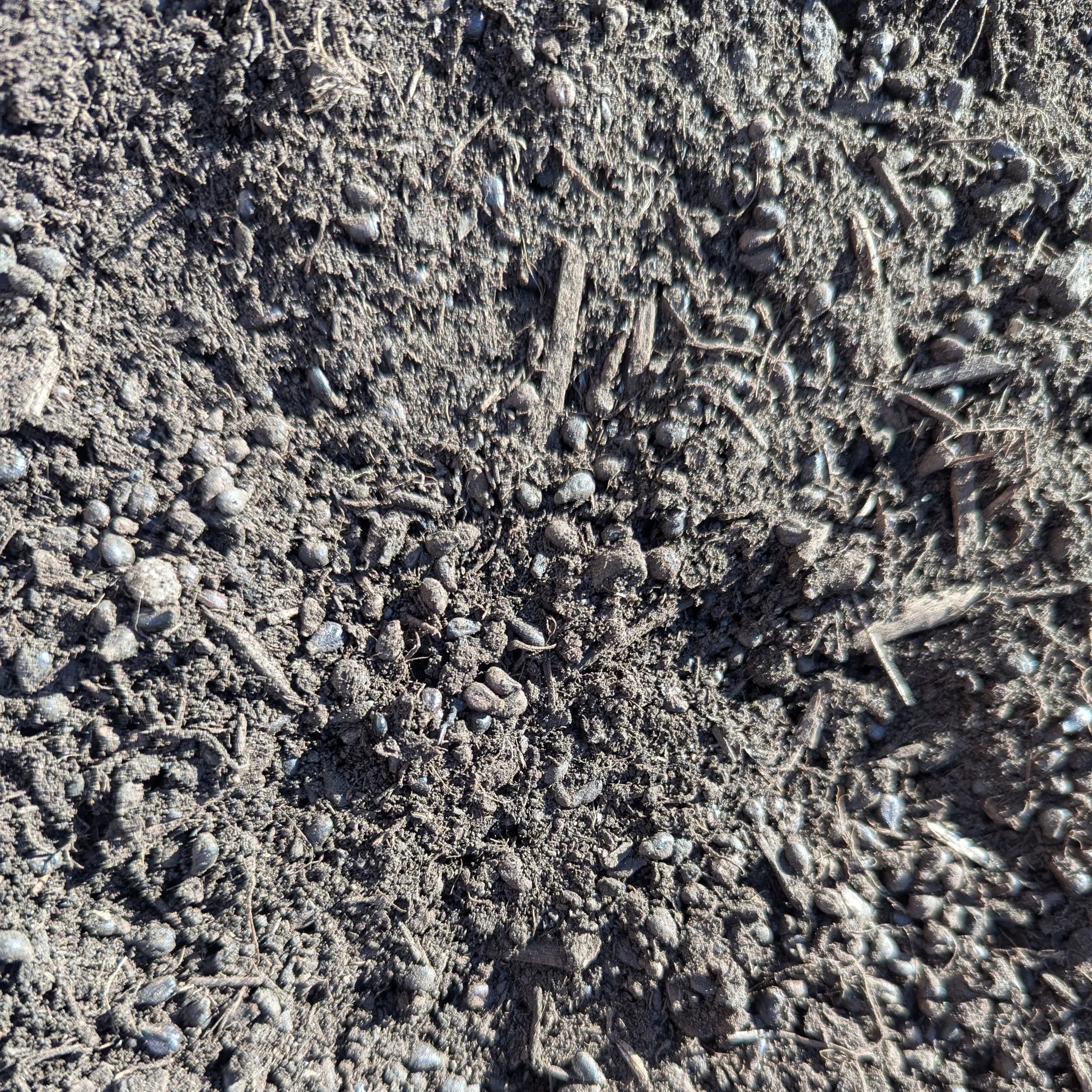 Grape Seed Compost