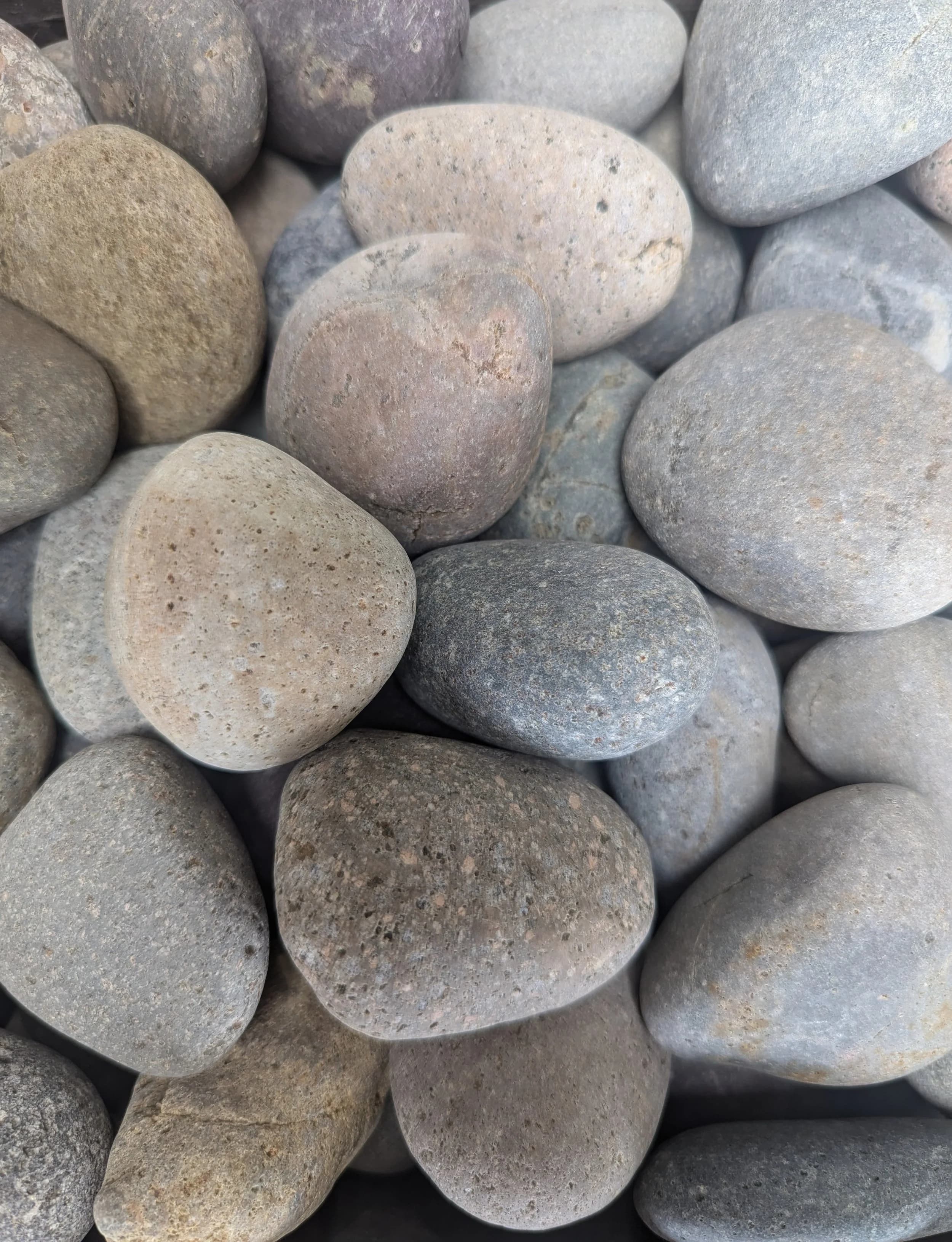 Mexican Mix 1/2"