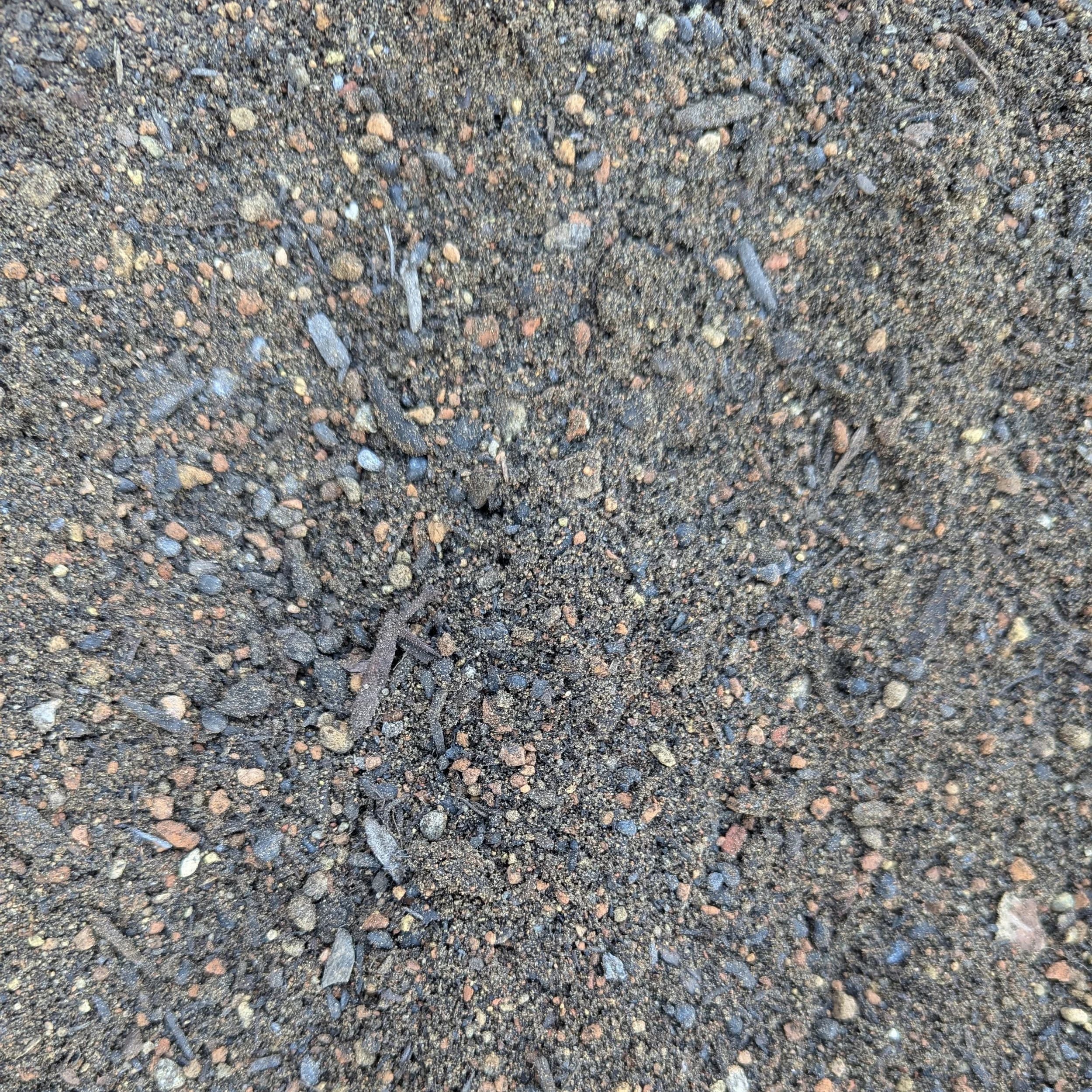 Planting Mix